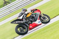 PJ-Motorsport-Photography-2020;anglesey;brands-hatch;cadwell-park;croft;donington-park;enduro-digital-images;event-digital-images;eventdigitalimages;mallory;no-limits;oulton-park;peter-wileman-photography;racing-digital-images;silverstone;snetterton;trackday-digital-images;trackday-photos;vmcc-banbury-run;welsh-2-day-enduro